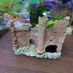 Fish Tank Castle (back)