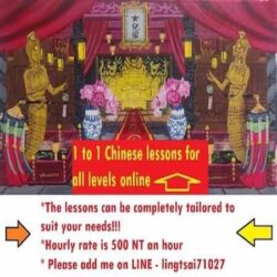 1 to 1 Chinese Online Lessons