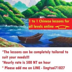1 to 1 Chinese online lessons for all levels!