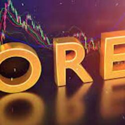 Certified Investor in Forex In Taiwan