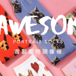 Online Store Selling Custom Pet Socks in Taiwan