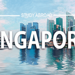 Opportunity To Get S Pass With a Salary Up TO $2400SGD In Singapore
