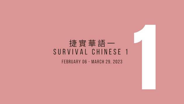 Survival Chinese Classes